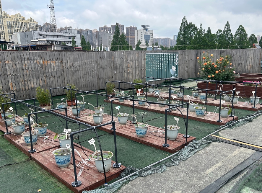 武漢智慧校園農(nóng)場(chǎng)